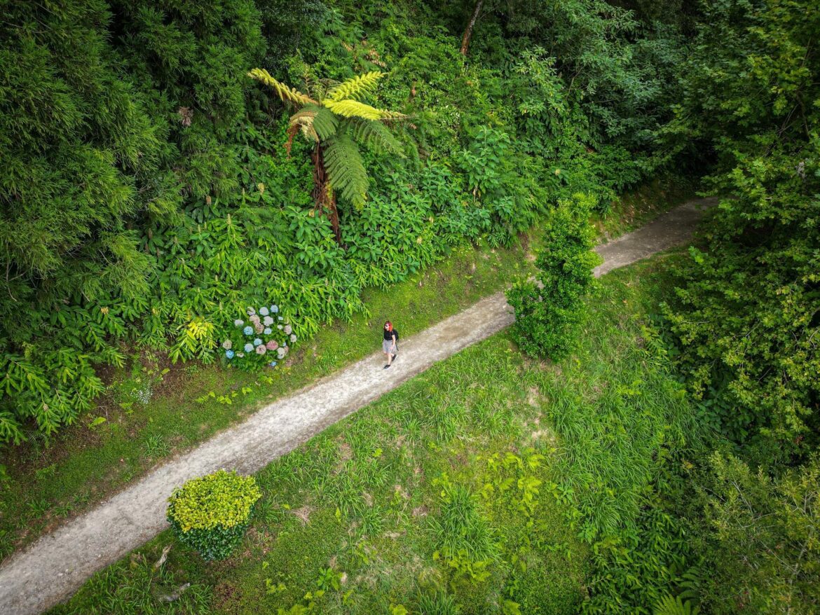 16 Best Places to For Solo Travel in 2025, Picked By Travel Editors 16 Best Places to For Solo Travel in 2025, Picked By Travel Editors