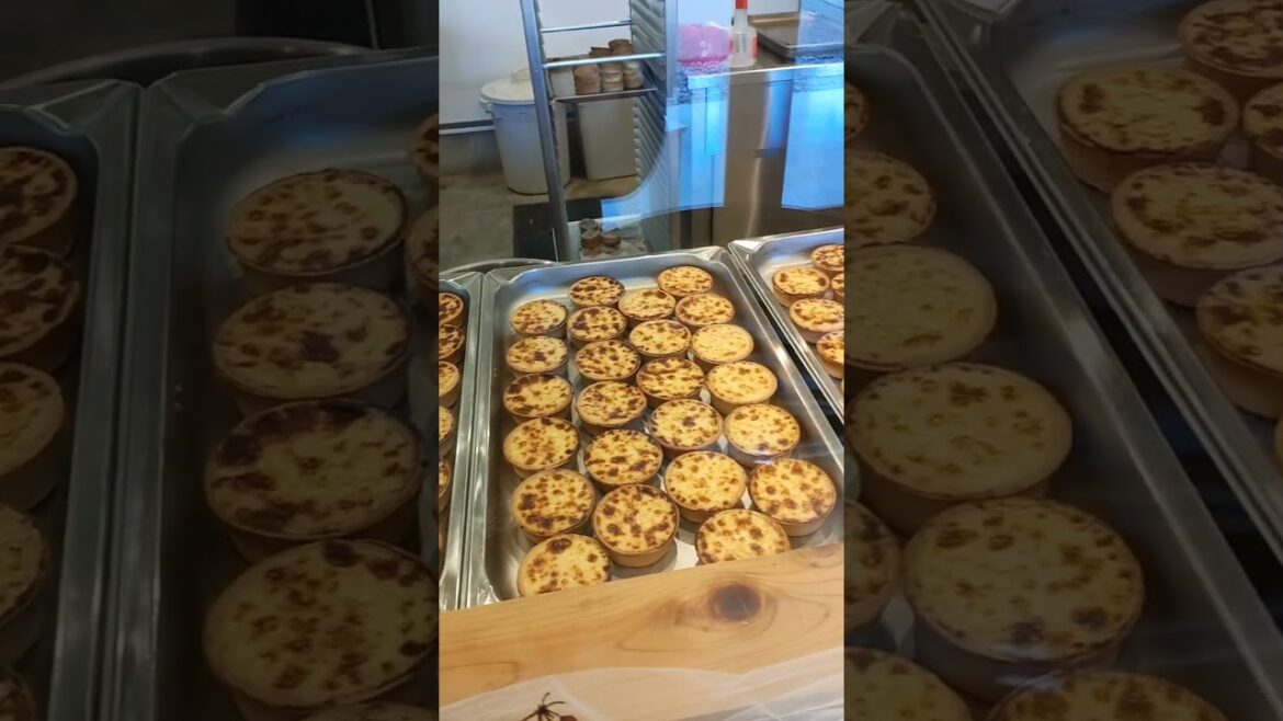 cheesecake at VISON in Mie, Japan cheesecake at VISON in Mie, Japan