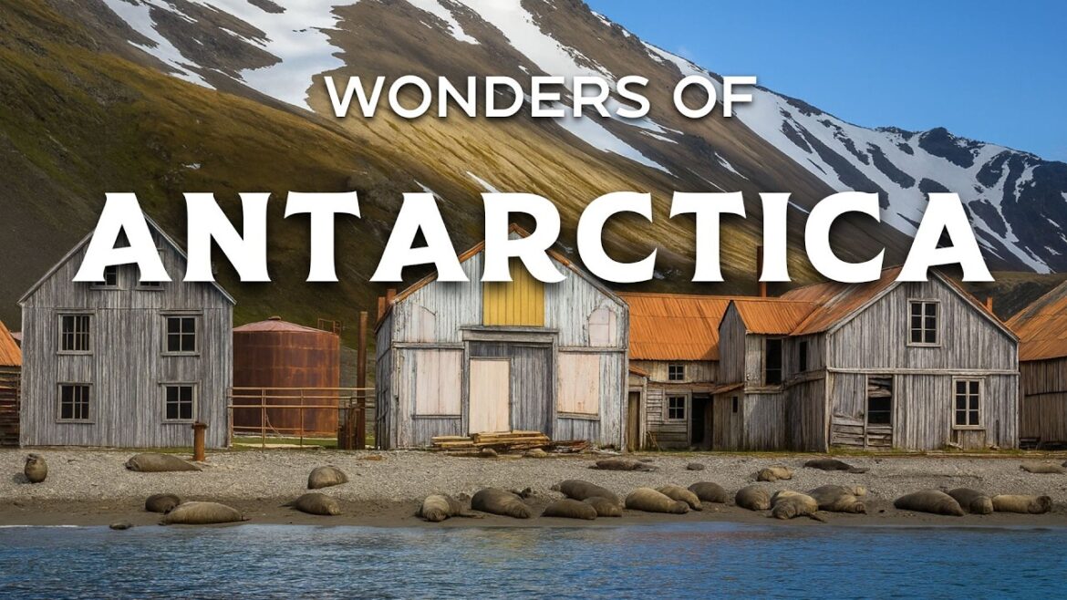 Wonders of Antarctica | Secret Places Only Locals Know About | Travel Video 4K