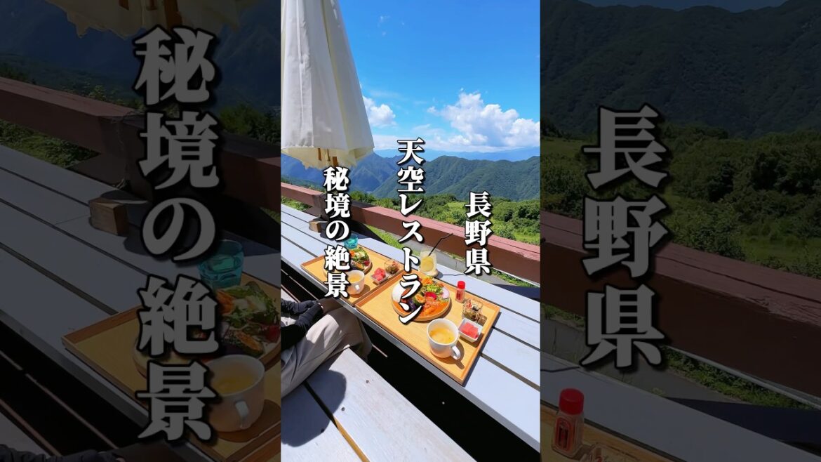 標高1500mの天空レストランで味わう絶景&絶品グルメ #長野グルメ #信州グルメ #長野県 #長野観光 #長野旅行 #信州 #大鹿村 #秘境 標高1500mの天空レストランで味わう絶景&絶品グルメ #長野グルメ #信州グルメ #長野県 #長野観光 #長野旅行 #信州 #大鹿村 #秘境