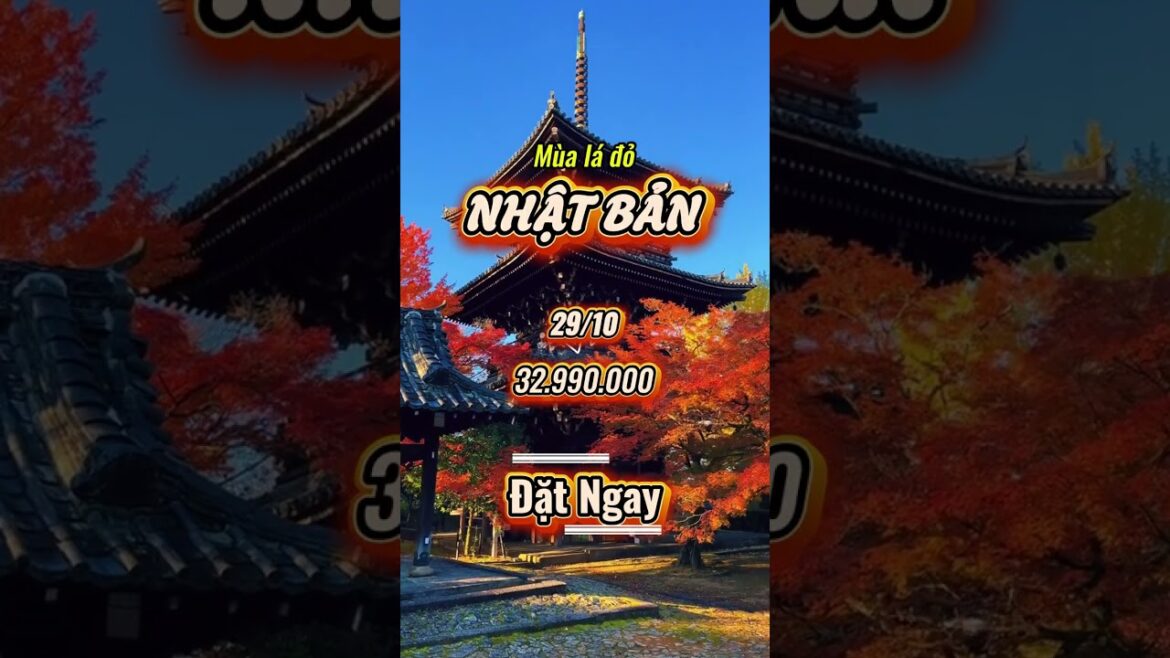 🍁 Mỗi năm chỉ có một mùa lá đỏ, bạn đã sẵn sàng chưa? #nhatban #dulichnhatban #hoaphuongtravel