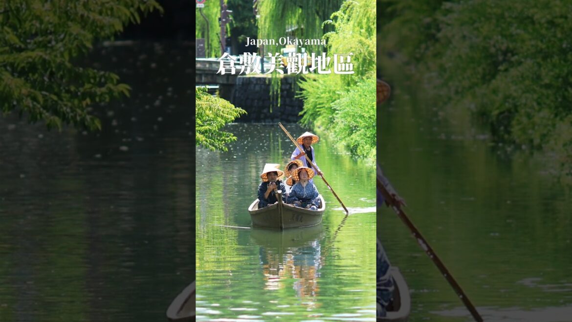 日本觀光 倉敷 | 一步踏入400年前的時光  #日本觀光 #岡山 #倉敷  #観光 #旅行 #travelvlog #jpapntravel #日本旅行 #japan #travel #vlog