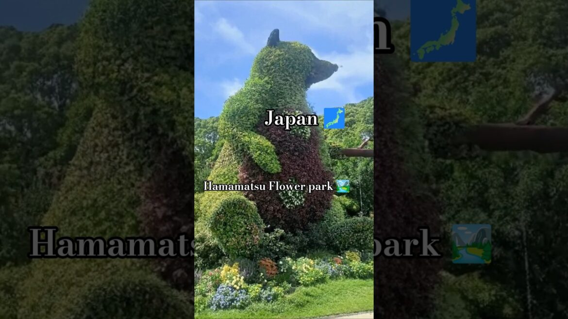 Hamamatsu Flower 🌺 park 🏞️||  #shortsviral #beautiful #japan