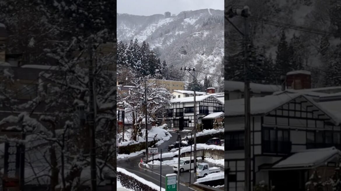 NIIGATA📍日本新瀉越後湯澤白雪樹冰🌲❄️糖霜世界🧁#snow #hotspring #skiing #travel #日本觀光 #日本旅遊 #snowfall #winter #冬