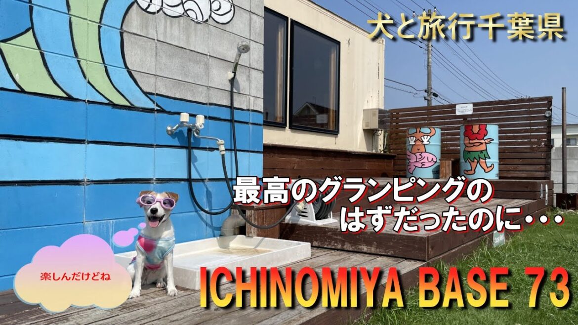 【犬と千葉旅行】初グランピングでBBQ🦪 ＆ お刺身🐟がうますぎた‼️