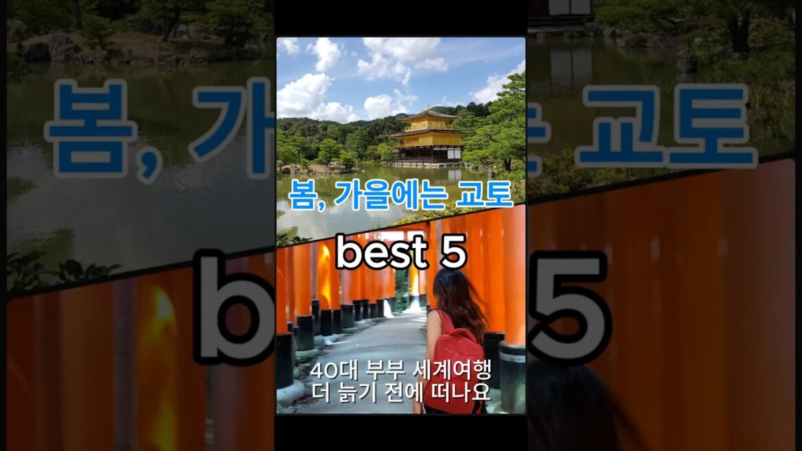 교토 여행 best 5, 가을 여행지 #교토 #일본 #kyoto #travel #여행 #japan #세계여행