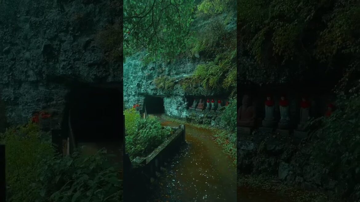 Nagano Japan Onsen Shrine #shorts #viralshorts