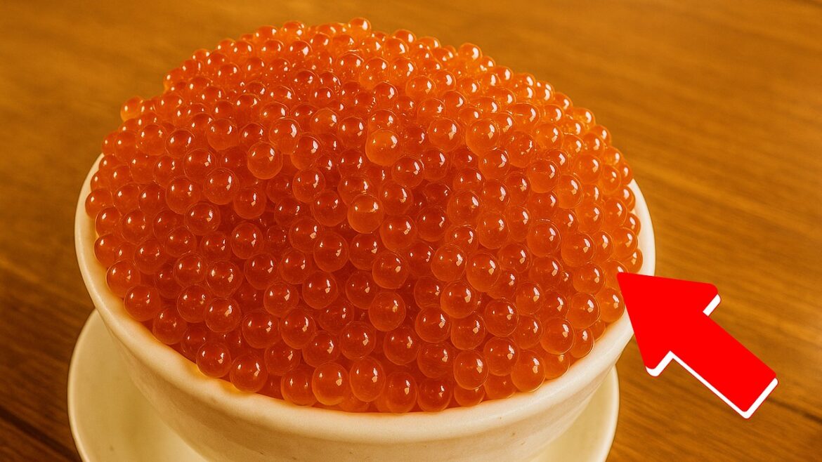 美瑛、富良野、札幌のグルメを食べまくる旅🇯🇵 美瑛、富良野、札幌のグルメを食べまくる旅🇯🇵