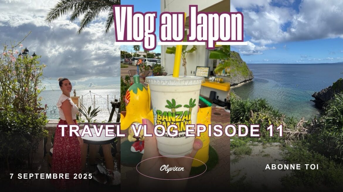 Snorkeling à la Blue Cave, musée du karaté & vibes américaines à Okinawa | Daily Vlog japon ep.11 🇯🇵