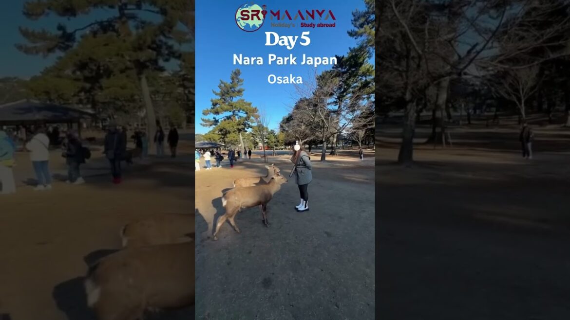 Discover Japan with Sri Maanya Holidays | Tokyo, Kyoto, Osaka Tour Packages #srimaanyaholidays Discover Japan with Sri Maanya Holidays | Tokyo, Kyoto, Osaka Tour Packages #srimaanyaholidays