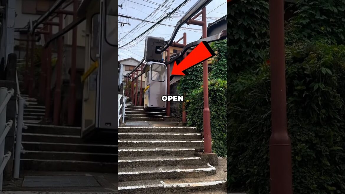 3 Unique Things You Can Only Find In Japan 3 Unique Things You Can Only Find In Japan