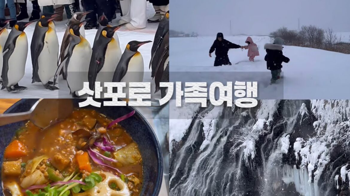 삿포로 겨울여행 | 아이들과 함께 | 아사히야마동물원 | 흰수염폭포 | 크리스마스트리 | 시원해시원해 ⛄️❄️❄️ 삿포로 겨울여행 | 아이들과 함께 | 아사히야마동물원 | 흰수염폭포 | 크리스마스트리 | 시원해시원해 ⛄️❄️❄️