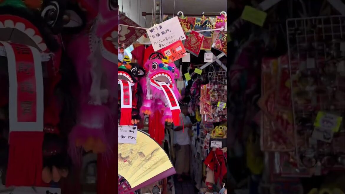 A Trip to Yokohama’s Chinatown… The biggest Chinatown in Japan! #chinatown #japan #familyfun