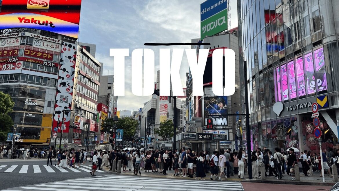 2 weeks Tokyo Itinerary. Here are 15 Things To do In Tokyo Japan. Fun, Unforgettable Japan Itinerary 2 weeks Tokyo Itinerary. Here are 15 Things To do In Tokyo Japan. Fun, Unforgettable Japan Itinerary