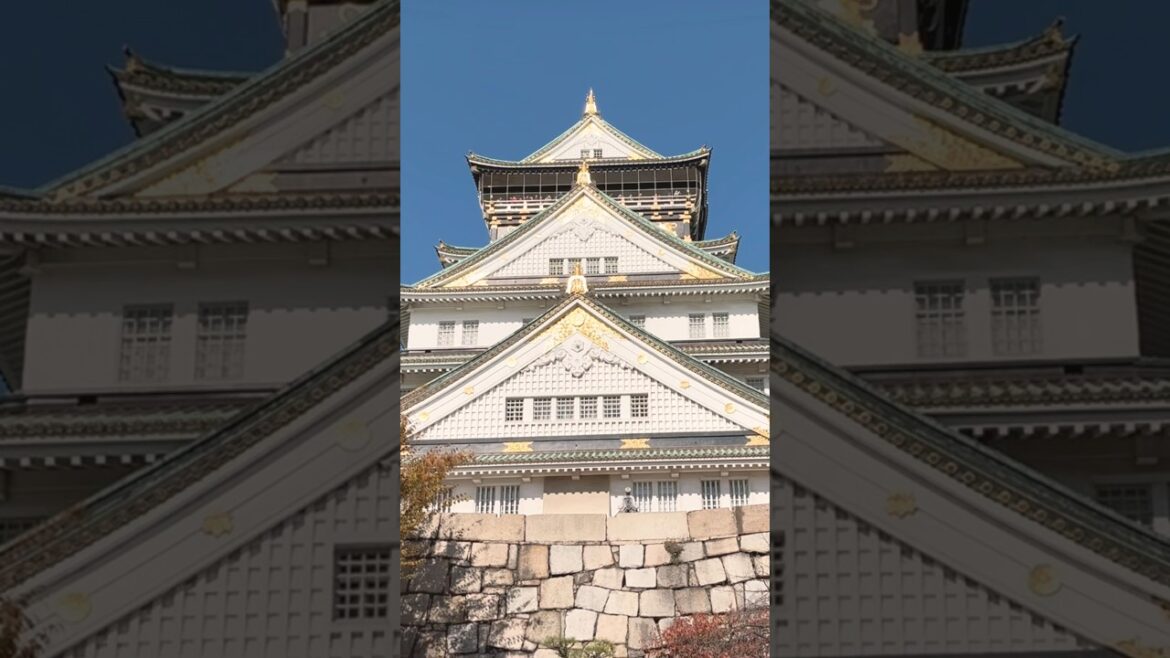 Osaka Castle in Autumn Time🏯🍂🌾 #osaka #osakatrip #autumnwalk #autumn  #japancastle #falltime