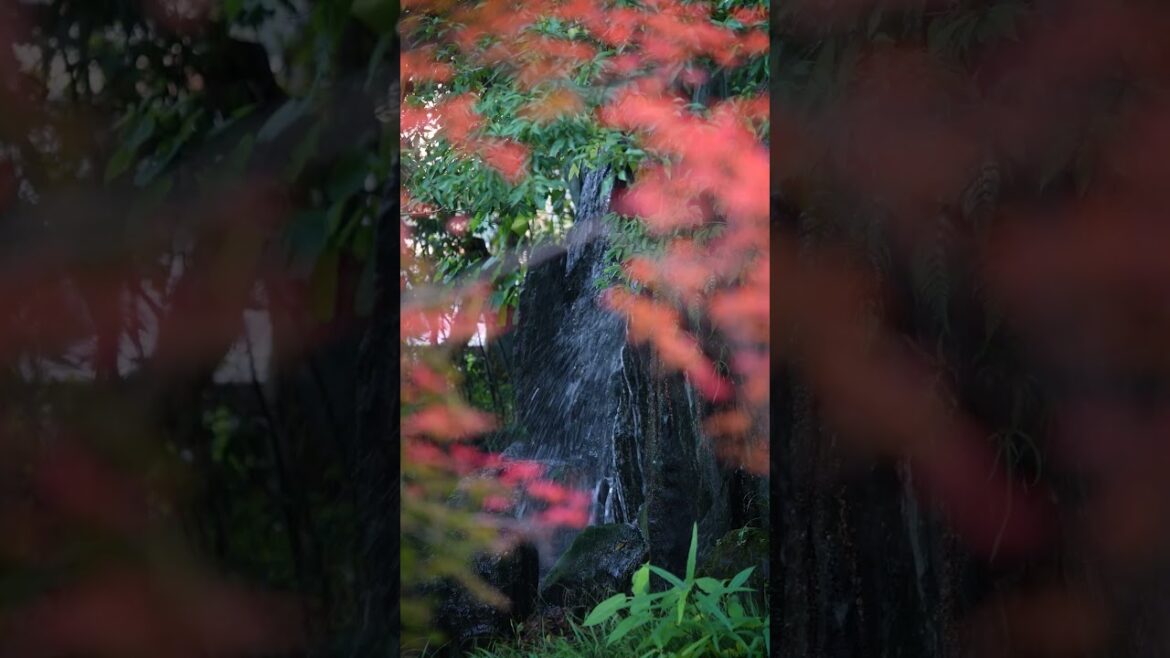 Destination Wedding at Kyoto|THE SODOH Vol.3 Destination Wedding at Kyoto|THE SODOH Vol.3