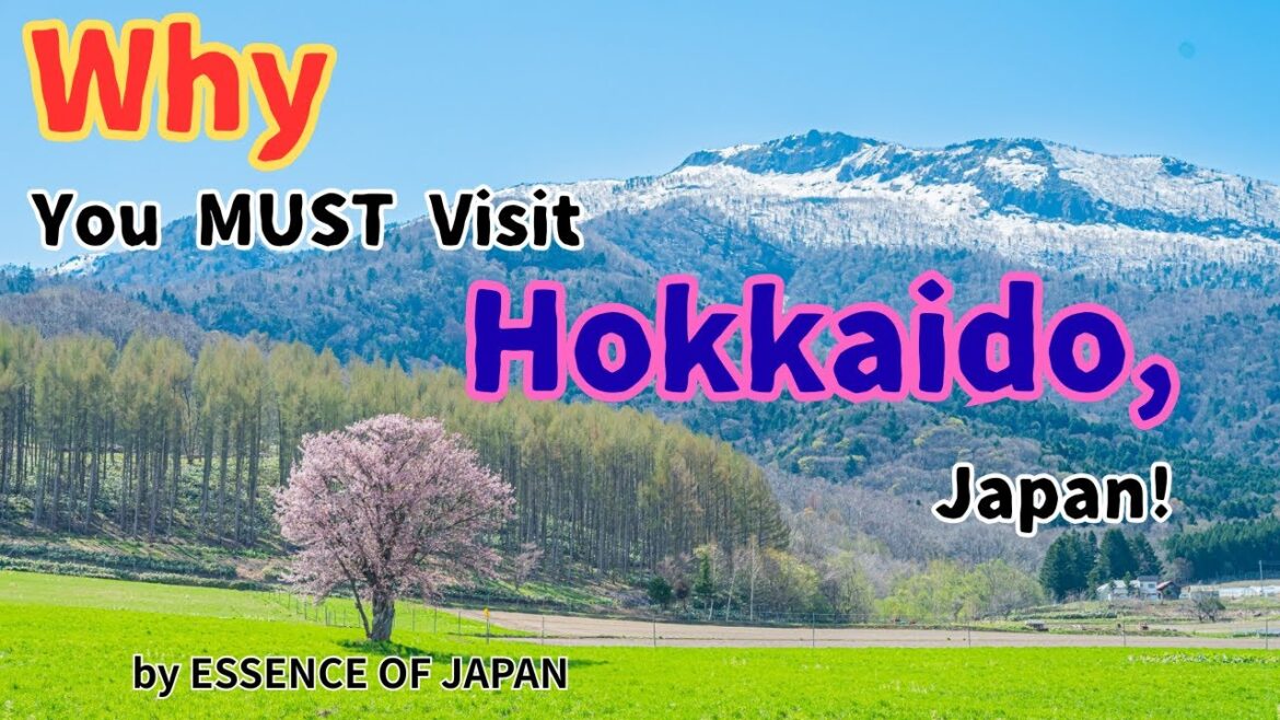 Why You MUST Visit Hokkaido, Japan! 2025 Why You MUST Visit Hokkaido, Japan! 2025