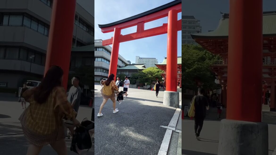 【Kobe】Must-See Tourist Attraction- Ikuta Shrine 【Kobe】Must-See Tourist Attraction- Ikuta Shrine