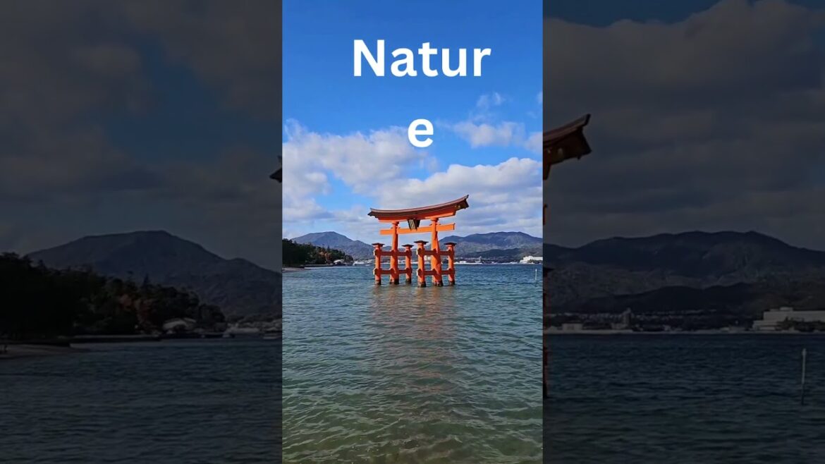 Welcome to Japan  #jejuisland #travel #beautifuldestinations #asia  #japaneseculture Welcome to Japan  #jejuisland #travel #beautifuldestinations #asia  #japaneseculture