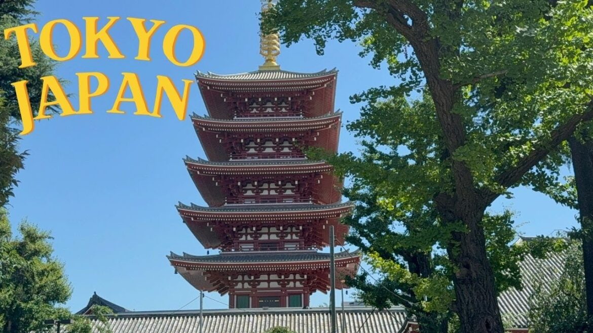 An American lost in Japan! Days 1-4 || Tour with The Dragon Trip
