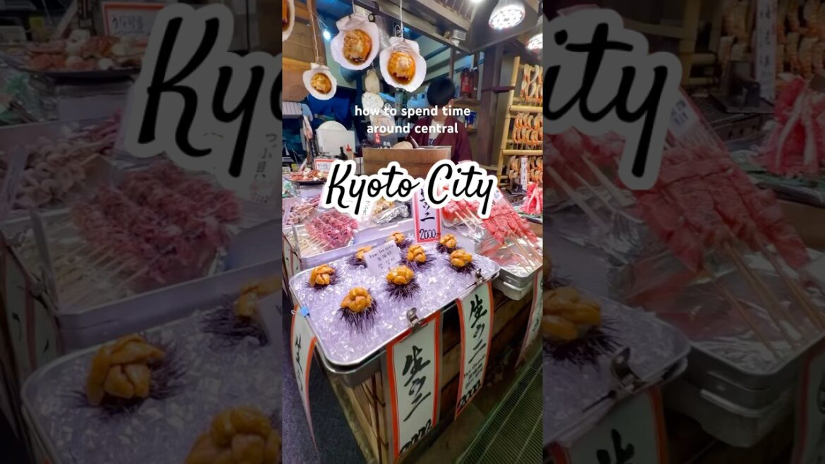 Part 1 | How to spend time in Central Kyoto City ๐ฎ๐ตโจ #japan #kyoto #coffee #nishikimarket #sushi Part 1 | How to spend time in Central Kyoto City ๐ฎ๐ตโจ #japan #kyoto #coffee #nishikimarket #sushi