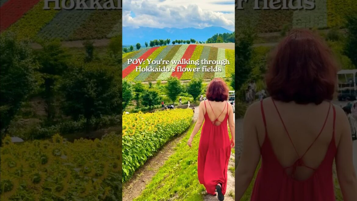 ๐ธ Can You Believe These Colorful Fields Are REAL? ๐ธ ๐ธ Can You Believe These Colorful Fields Are REAL? ๐ธ