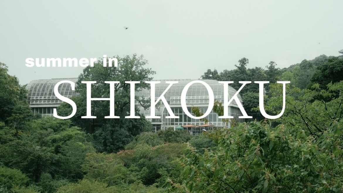 Summer in Shikoku | From Marugame, Kochi, Tokushima to Takamatsu