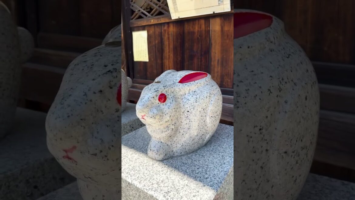 Planning a trip to Kyoto or Osaka? Be sure to also see Lake Biwa! 💙 Planning a trip to Kyoto or Osaka? Be sure to also see Lake Biwa! 💙