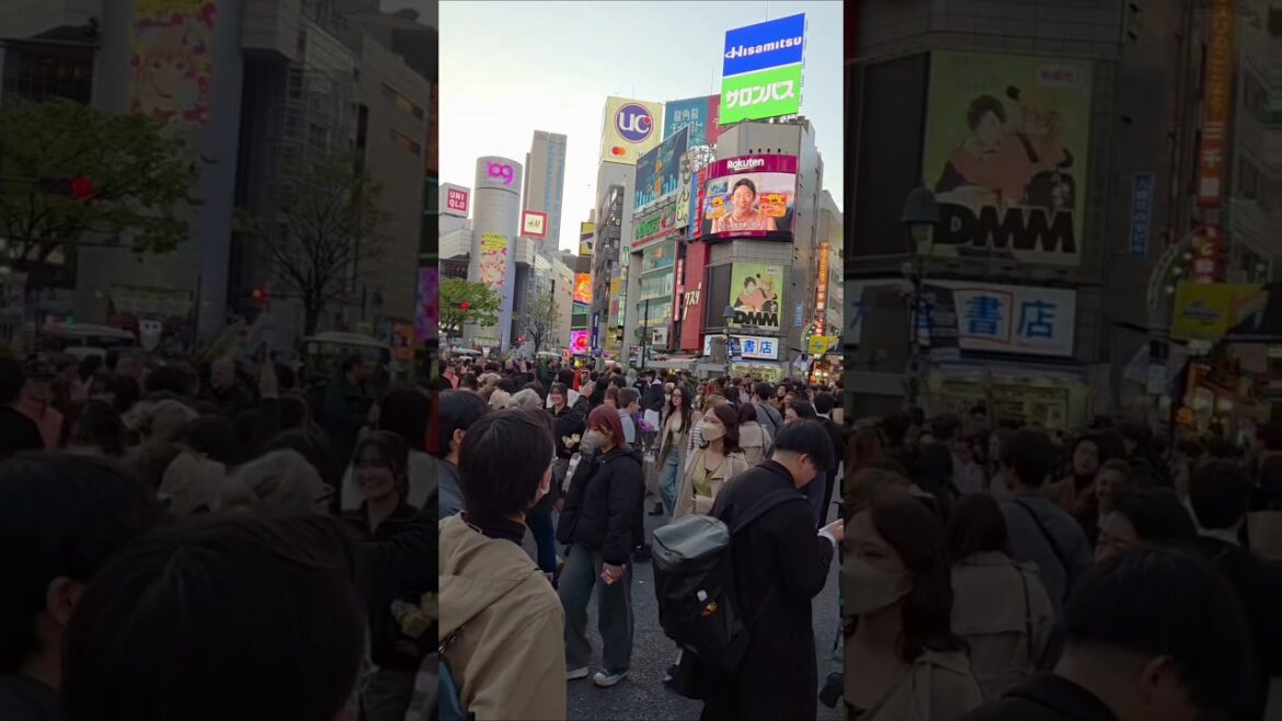 POV: Shibuya Crossing TOKYO #shibuyacrossing #shibuya #japan #shortsfeed