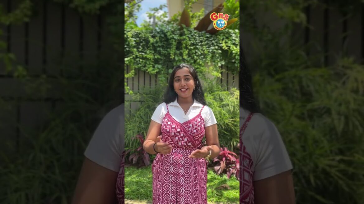 Japan Tour | Nov 6 | +91 9746133307