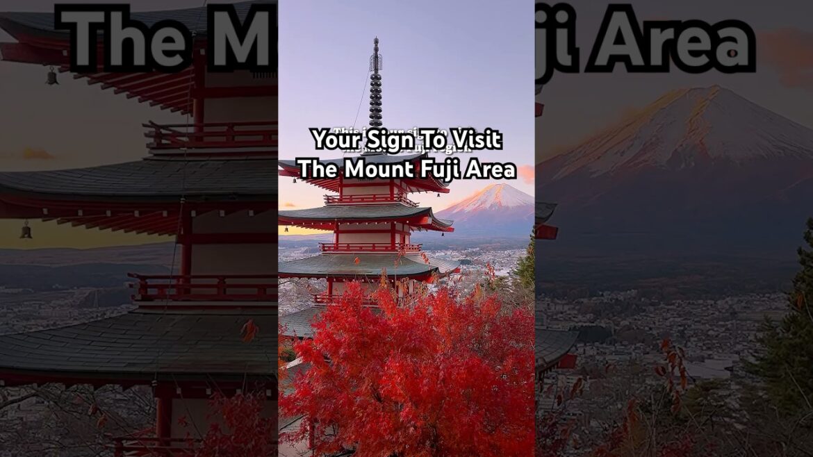 One of the best places to visit in Japan - the Mount Fuji area! 🇯🇵 #mountfuji #mountfujiview