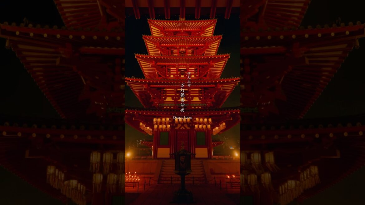 先祖供養のために灯される1万本のローソクが幻想的すぎた! 万灯供養法要 四天王寺 Shitennoji Temple #shorts #travel #japan #寺院 #神秘的 先祖供養のために灯される1万本のローソクが幻想的すぎた! 万灯供養法要 四天王寺 Shitennoji Temple #shorts #travel #japan #寺院 #神秘的