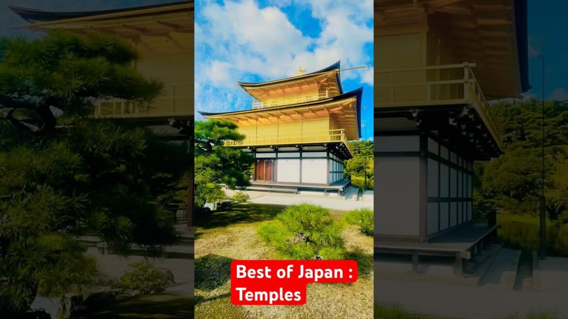 🇯🇵 Shinto Shrines & Temples : Best of Japan Travel
