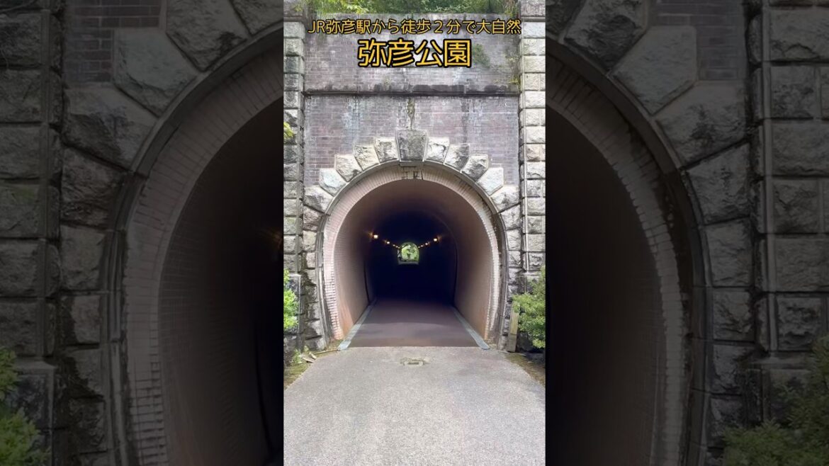 JR弥彦駅から徒歩２分で大自然が堪能出来る『弥彦公園』は、広さを誇り、「もみじ谷」は紅葉の名所で、夜は紅葉がライトアップされ、幻想的な世界に変わる / Yahiko Trip