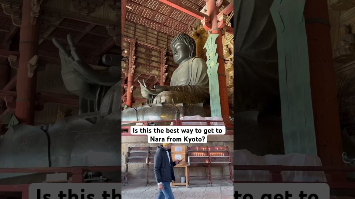 Is the Aoniyoshi the best way to get to Nara from Kyoto? #travel #japan #kyoto #nara #travelwithme