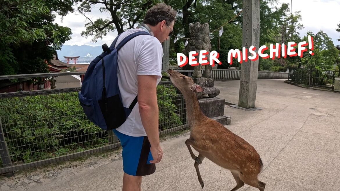 Heatstroke Hike on a Magical Island! Heatstroke Hike on a Magical Island!