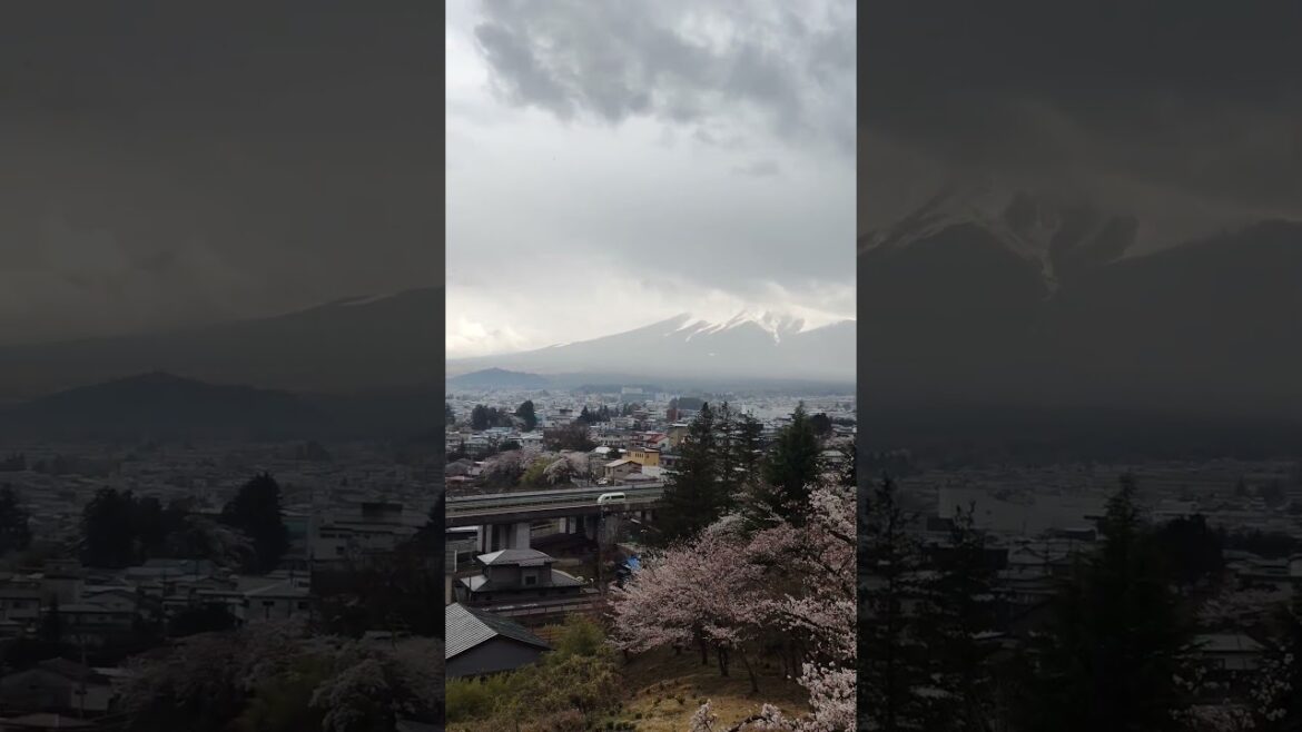 OMG 😳 look at Mount Fuji! how beautiful & charming it looks from this place - Arakura Fuji Shrine.