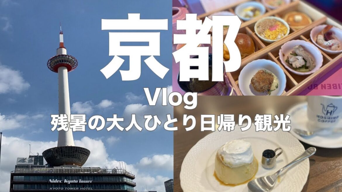 【京都Vlog】京都駅周辺のグルメ&ぶらり半日観光✨58歳女ひとり旅 【京都Vlog】京都駅周辺のグルメ&ぶらり半日観光✨58歳女ひとり旅