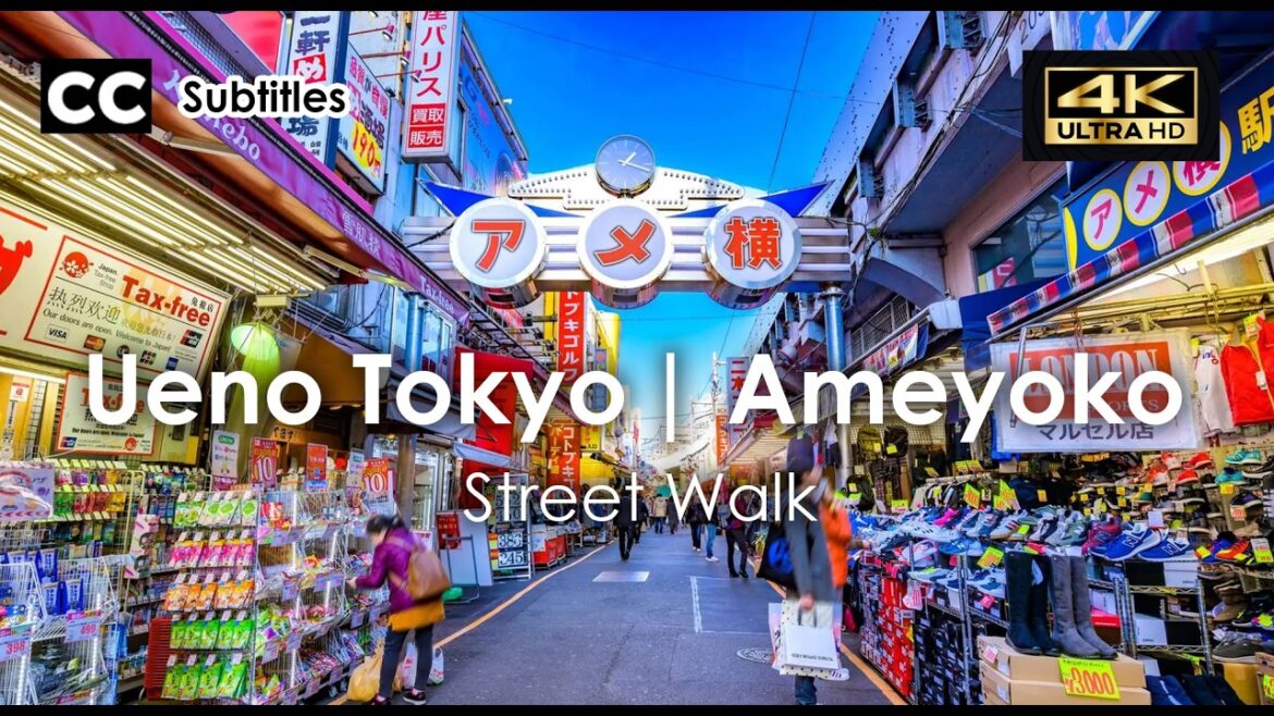 Ameyoko Market Street Walking Tour | Ueno Tokyo – Street Food & Shopping in Japan