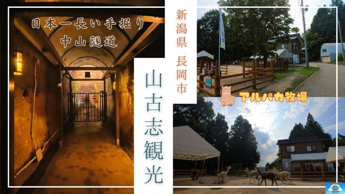 【長岡市】日本一の手掘りトンネル「中山隧道」と復興のシンボル「アルパカ牧場」へと山古志観光。