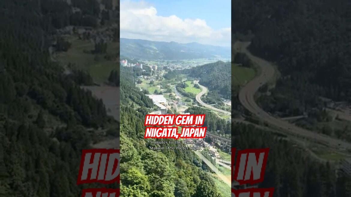 Hidden Gem in Niigata, Japan 🇯🇵 🏎️ 🏁 Gokart in the Japanese Alps 🏔️🗻⛰️🚠