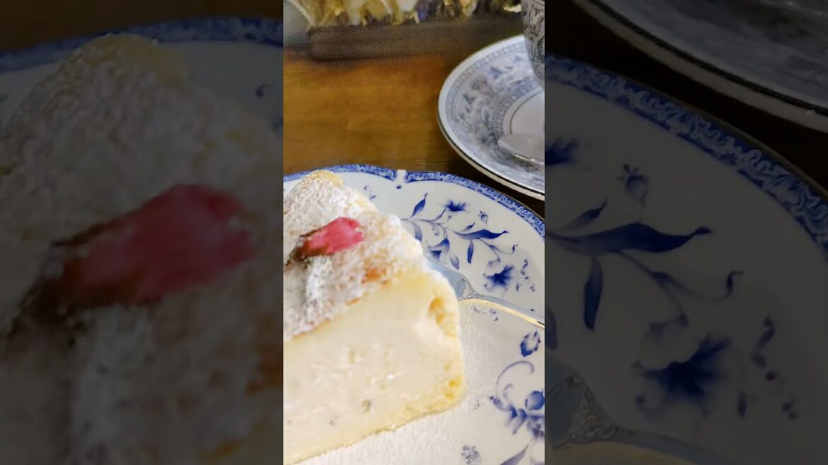 cheesecake, Shizuoka, Japan #7