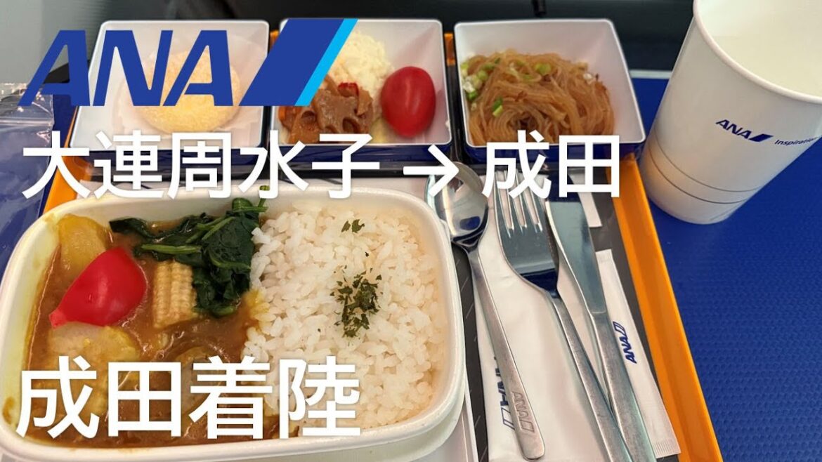 【エコノミークラス機内食/成田空港着陸】ANA904便、大連周水子国際空港→成田空港 Economy class in flight meal 【エコノミークラス機内食/成田空港着陸】ANA904便、大連周水子国際空港→成田空港 Economy class in flight meal