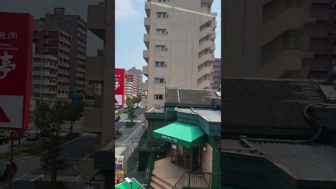 Yokohama Kanagawa Japan #tourguiding #tourguideservice #japantourism#JapanTour2025#travellingalt