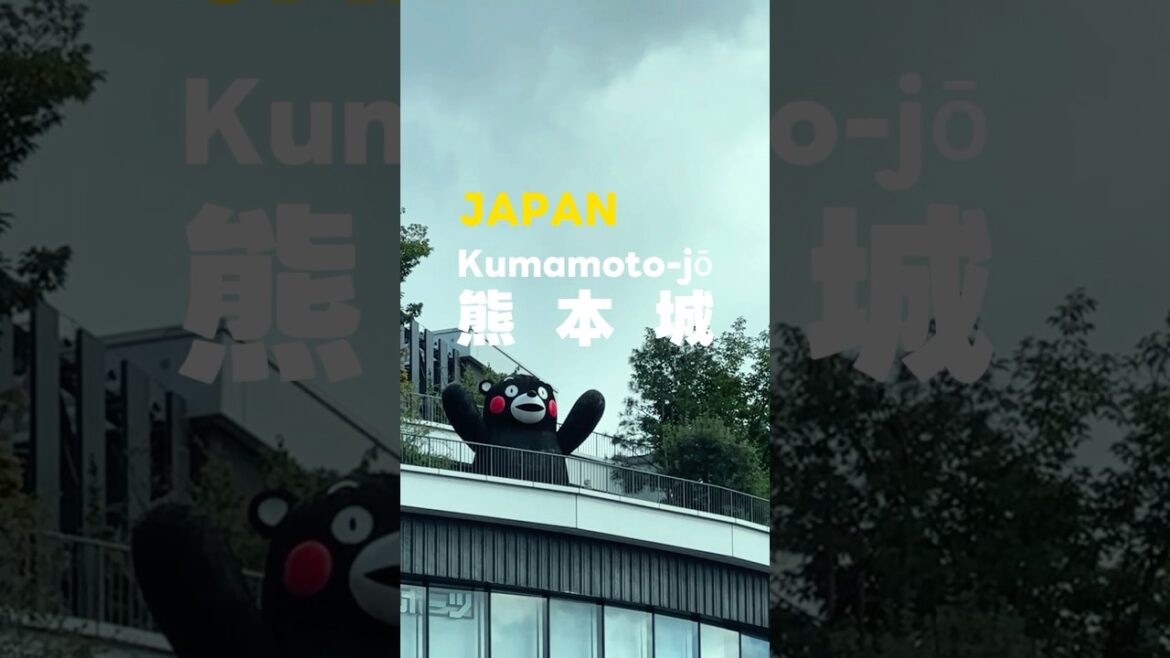 熊本城探險｜陽光下的武士古堡漫步 #旅行 #travel #japaneseculture #photography #streetphotography