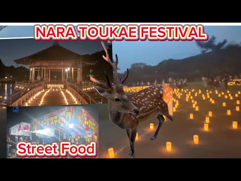 奈良燈花会 / 屋台グルメ【Travel tour】  奈良燈花会 / 屋台グルメ【Travel tour】
