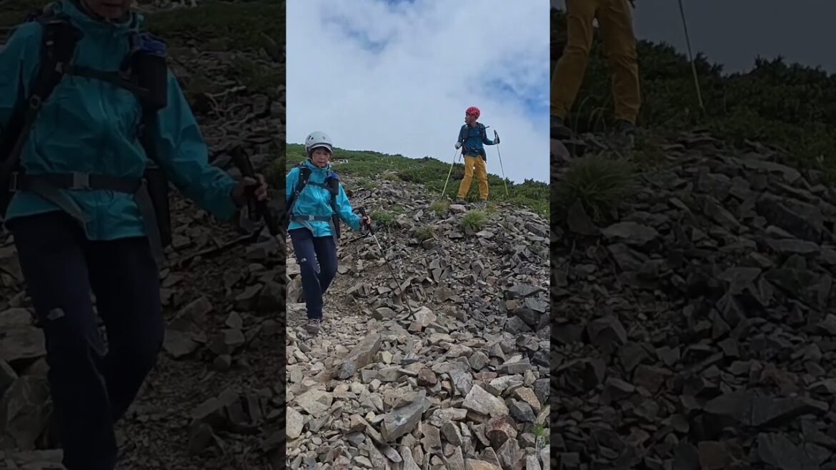 鹿島槍ヶ岳手前で熊に遭遇！