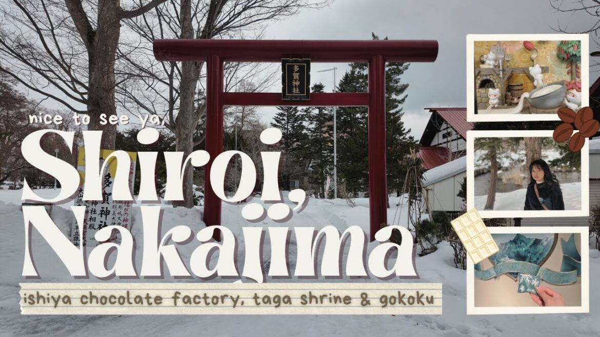 sapporo park hopping 🏞️ shiroi koibito, nakajimakoen | travel vlog