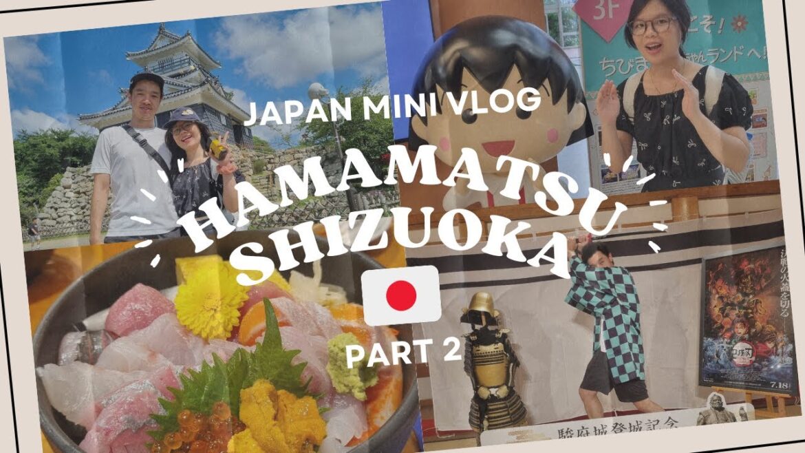 Hamamatsu Shizuoka in July 2025 part 2 | Japan Vlog