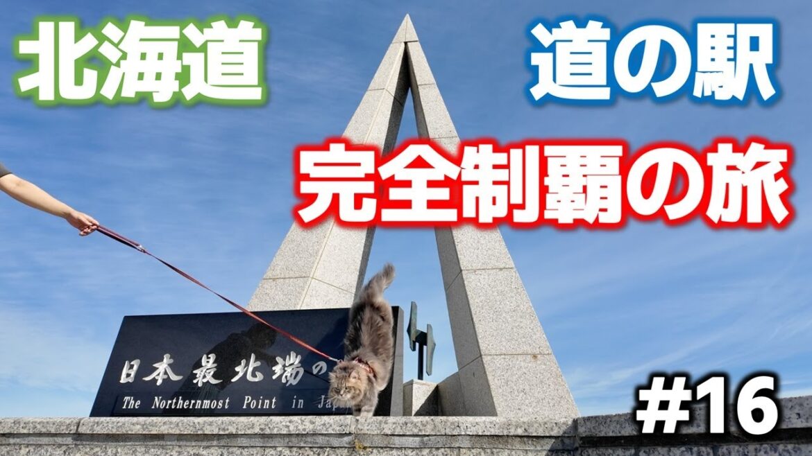 【北海道】道の駅スタンプラリーの旅! 道北の絶品グルメを堪能するドライブツアー! 【北海道】道の駅スタンプラリーの旅! 道北の絶品グルメを堪能するドライブツアー!